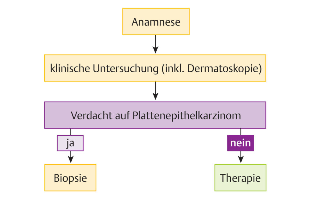 Algorithmus zum diagnostischen Vorgehen